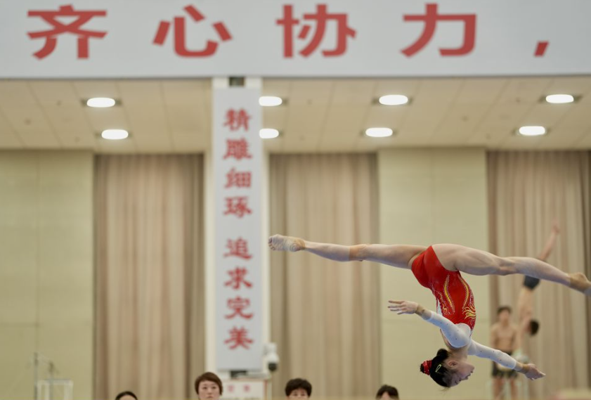 问鼎娱乐世界的无限魅力